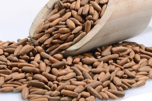 Pine Nuts (Chilgoza) Premium Quality Organic Pine Nuts with Shell